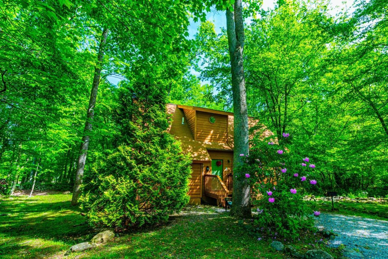 Bear Footin' On The Creek Villa Gatlinburg Kültér fotó