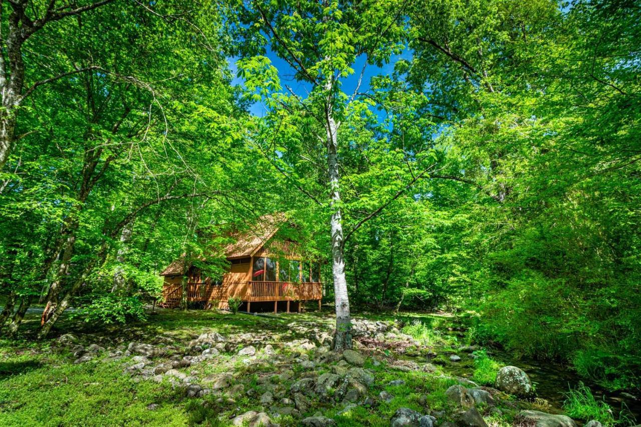 Bear Footin' On The Creek Villa Gatlinburg Kültér fotó